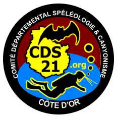 CDS21